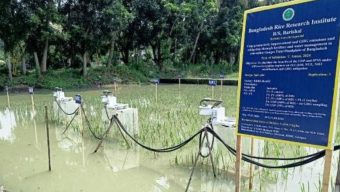 বরিশালে স্থাপন করা হচ্ছে দেশের প্রথম গ্রিনহাউস গ্যাস নির্গমন নিরূপণ ল্যাব