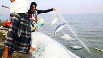 মৌসুমে মা ইলিশ রক্ষায় ২২ দিনের নিষেধাজ্ঞা শুরু