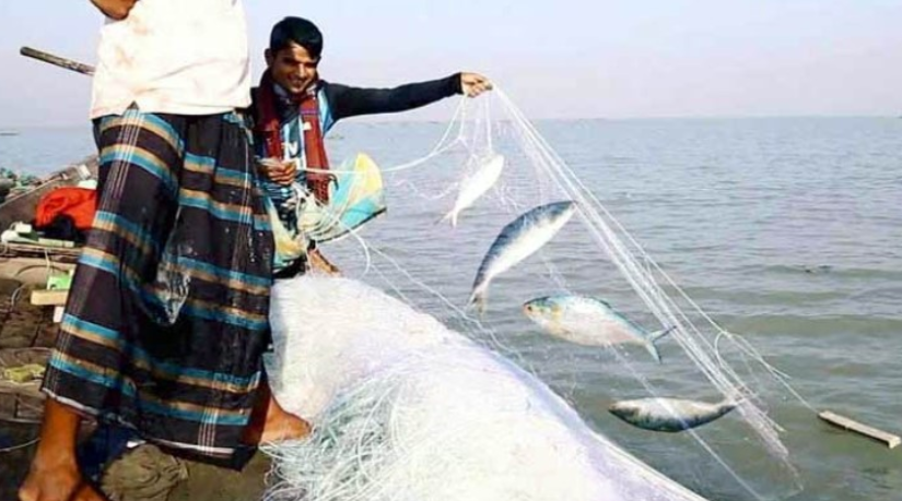 মৌসুমে মা ইলিশ রক্ষায় ২২ দিনের নিষেধাজ্ঞা শুরু