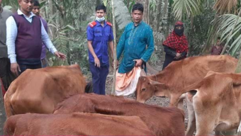 খুলনার এরশাদ শিকদারকে হার মানালো ভোলার মান্নান,