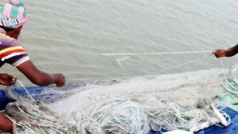 বরিশালে ইলিশ শিকারে বেপরোয়া জেলেরা