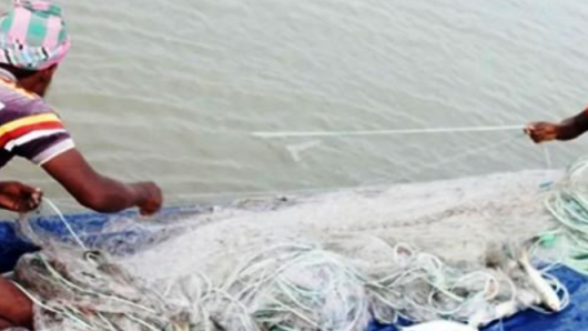 বরিশালে ইলিশ শিকারে বেপরোয়া জেলেরা