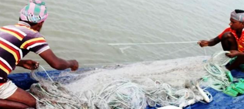 বরিশালে ইলিশ শিকারে বেপরোয়া জেলেরা