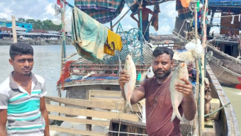 সাগরে ২২ দিনের মাছ ধরার নিষেধাজ্ঞা আজ মধ্যরাত থেকে শুরু