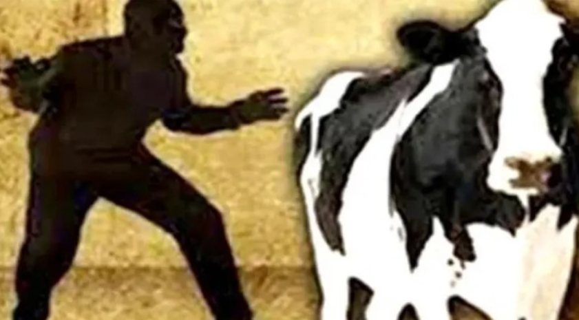 পটুয়াখালী এক কৃষকের ৫ গরু চুরি