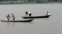 বরিশালে নিষেধাজ্ঞায় থামছে না ইলিশ নিধন, আধারেই হচ্ছে বেচাকেনা