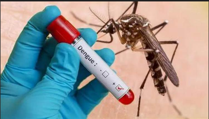 বরিশালে ১০ দিনেই হাসপাতালে ৭ শতাধিক ডেঙ্গু রোগী