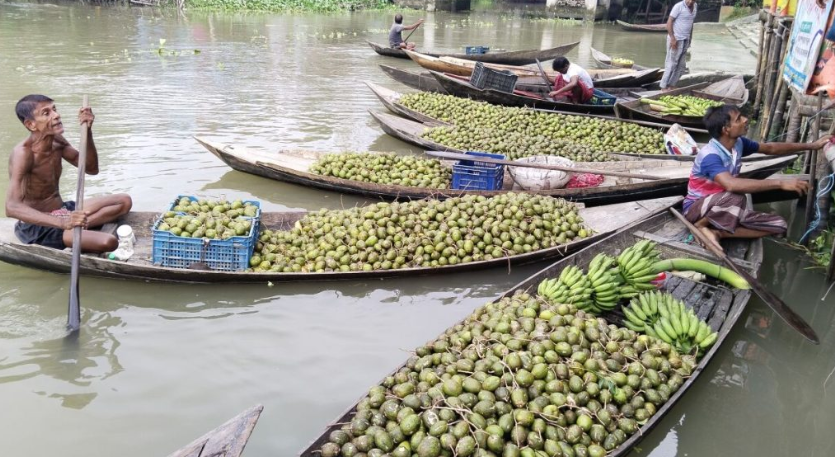 দেশের চাহিদা মিটিয়ে বিদেশে যাচ্ছে ঝালকাঠির আমড়া