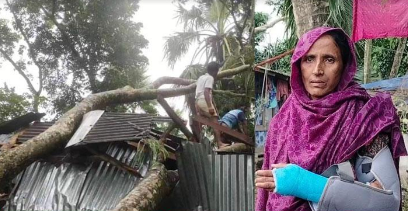 মির্জাগঞ্জ ঘূর্ণিঝড় দানার তাণ্ডবে ঘরবাড়ি বিধ্বস্ত, আহত ৪