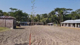 ভোলায় খেলা বন্ধ করার জন্য মাদ্রাসা মাঠে হচ্ছে আলু চাষ