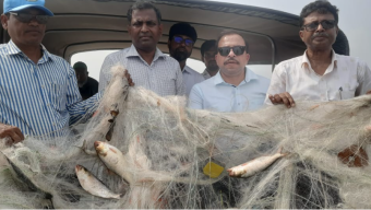 বরিশালে ১৯ দিনে ১৭ হাজার কেজি ইলিশ জব্দ;৫৮৯ জেলেকে কারাদণ্ড; ২৭ লাখ টাকা জরিমানা