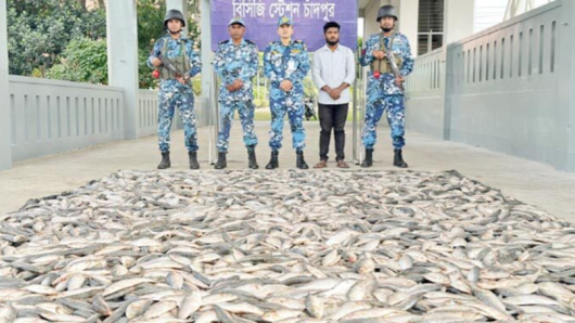 কোস্ট গার্ডের অভিযানে ৪০ মণ জাটকা জব্দ, এতিমখানা,গরিব ও দুস্থদের মাঝে বিতরণ
