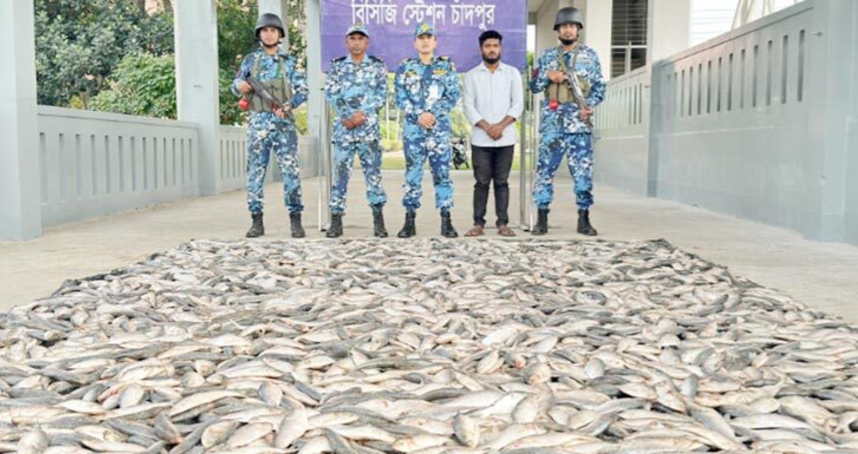 কোস্ট গার্ডের অভিযানে ৪০ মণ জাটকা জব্দ, এতিমখানা,গরিব ও দুস্থদের মাঝে বিতরণ