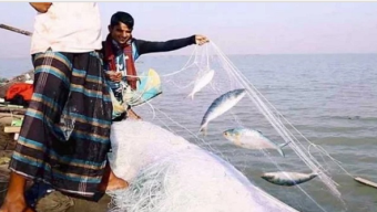 ২২ দিনের নিষেধাজ্ঞা আজ শেষ, রাত থেকে শুরু হচ্ছে ইলিশ ধরা