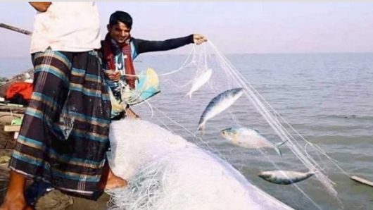 ২২ দিনের নিষেধাজ্ঞা আজ শেষ, রাত থেকে শুরু হচ্ছে ইলিশ ধরা