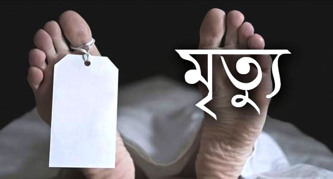 পিরোজপুরে গাছ থেকে পড়ে একজনের মৃত্যু