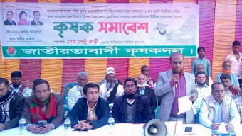 মেহেন্দিগঞ্জ আলিমাবাদে কৃষক দলের সমাবেশ
