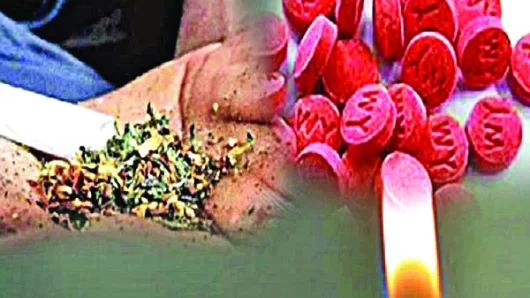 দক্ষিণ থেকে উত্তরে যেভাবে যায় মাদক