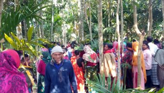 পিরোজপুরে আম গাছ থেকে ব্যবসায়ীর ঝুলন্ত মরদেহ উদ্ধার