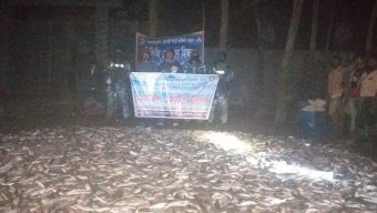 হিজলায় কোষ্টগার্ডের অভিযানে ৩৫ মন জাটকা ইলিশ জব্দ