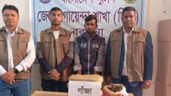 ডিবি পুলিশের অভিযানে গাঁজার বস্তাসহ মাদক কারবারি আটক