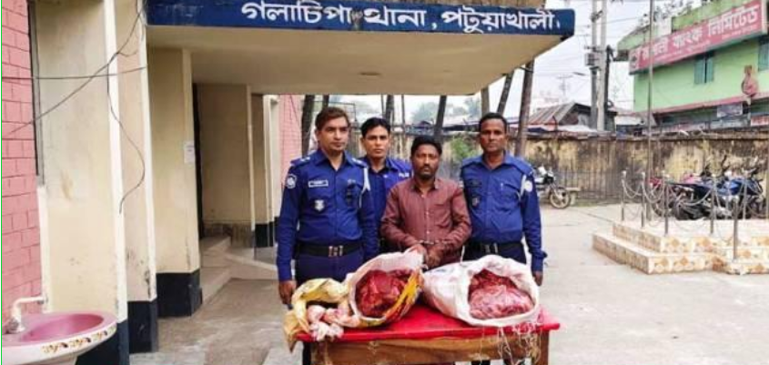 গলাচিপায় চোরাই গরুর মাংসসহ চোর আটক