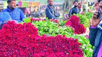 ফুলের বাজারে বিক্রি ভালো, দামে অখুশি চাষি