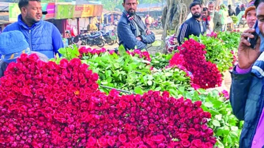 ফুলের বাজারে বিক্রি ভালো, দামে অখুশি চাষি