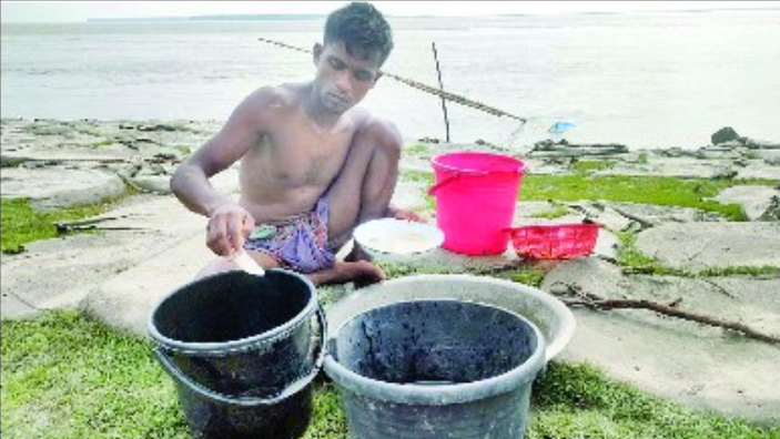 বাগদা চিংড়ির রেনু প্রকাশ্যে ধরে রাতের আঁধারে বিক্রি