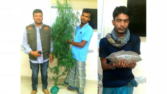 ঝালকাঠি ডিবি পুলিশ মহিউদ্দিনের অভিযানে গাঁজা ও গাছসহ আটক ২