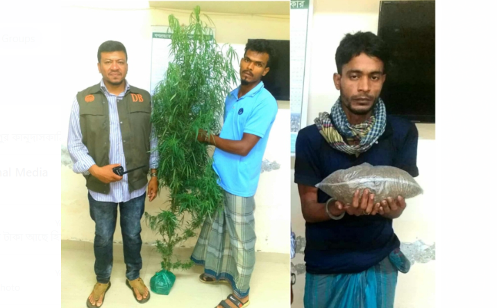 ঝালকাঠি ডিবি পুলিশ মহিউদ্দিনের অভিযানে গাঁজা ও গাছসহ আটক ২