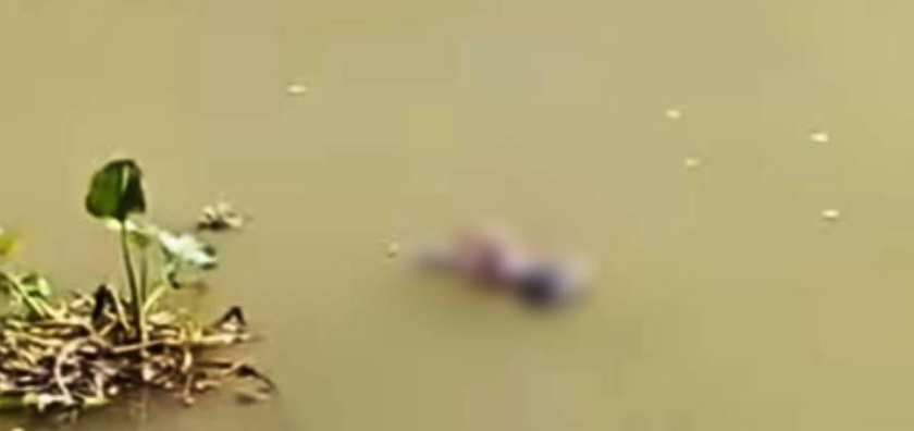 পিরোজপুরে খাল থেকে নবজাতকের লাশ উদ্ধার