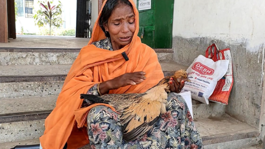 ভিক্ষা করে কেনা মুরগি মেরে দিল কারা? বিচার চেয়ে থানায় বৃদ্ধা