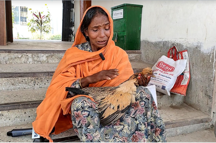 ভিক্ষা করে কেনা মুরগি মেরে দিল কারা? বিচার চেয়ে থানায় বৃদ্ধা
