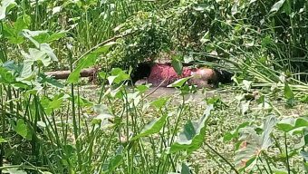 বরিশালে ডোবা থেকে অজ্ঞাত যুবকের লাশ উদ্ধার