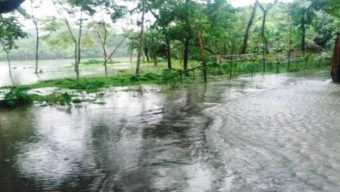 পিরোজপুরে বিপদসীমার ওপরে দুই নদীর পানি, আতঙ্কে নদীতীরের মানুষ