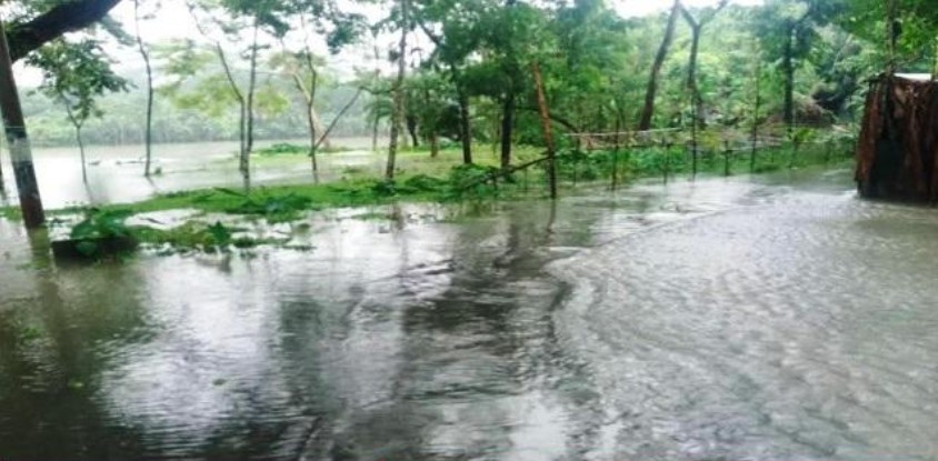 পিরোজপুরে বিপদসীমার ওপরে দুই নদীর পানি, আতঙ্কে নদীতীরের মানুষ