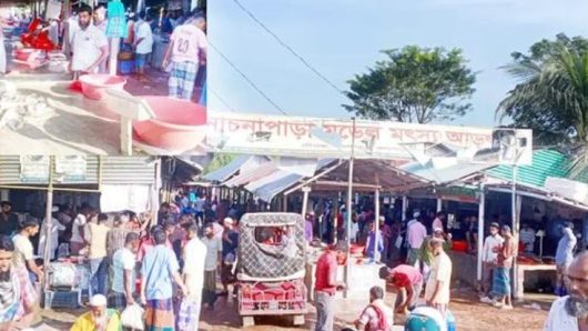 কলাপাড়ায় অনুমোদনহীন মাছ বাজার, প্রশাসনের উদাসীনতায় রাজস্ব হারাচ্ছে সরকার