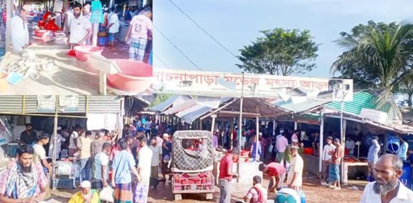 কলাপাড়ায় অনুমোদনহীন মাছ বাজার, প্রশাসনের উদাসীনতায় রাজস্ব হারাচ্ছে সরকার