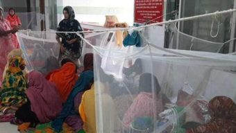 ২৪ ঘণ্টায় ডেঙ্গুতে ৩ জনের মৃত্যু, হাসপাতালে ভর্তি ৩৩১ রোগী