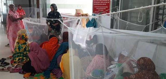 ২৪ ঘণ্টায় ডেঙ্গুতে ৩ জনের মৃত্যু, হাসপাতালে ভর্তি ৩৩১ রোগী
