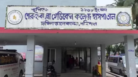 বরিশালে ডেঙ্গুতে প্রাণ গেল আরও ২ জনের