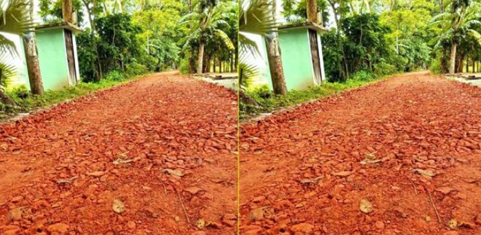বরিশালে নিম্নমানের ইট দিয়ে সড়ক সংস্কার, বাধার মুখে কাজ বন্ধ করল এলজিইডি