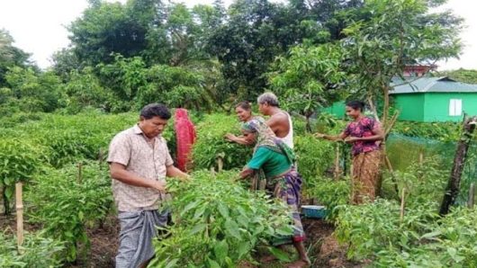 তালতলীতে পিছিয়ে পড়া জনগোষ্ঠীদের আলোর মুখ দেখাচ্ছে ‘আরএসডিও’