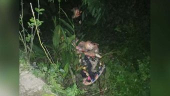 মন্দিরে প্রতিমা ভাঙচুর, যুবক গ্রেপ্তার