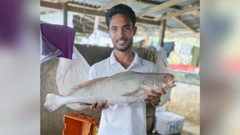 এক পোয়া মাছ বিক্রি ৮০ হাজার টাকায়