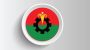 দাঁড়িপাল্লায় ভোট দিয়ে পদ হারালেন বিএনপির চার নেতা