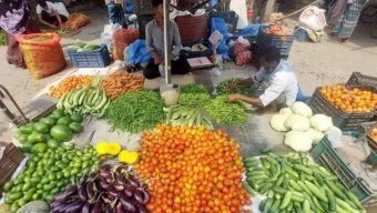 বরিশালে কেজিতে ৩০ টাকা পর্যন্ত কমেছে সবজি, তেজ কমেনি কাঁচামরিচের
