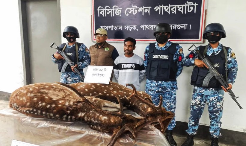 বরগুনায় জবাই করা হরিণসহ স্বামী গ্রেপ্তার, ক্ষুব্ধ হয়ে তালাক দিলেন স্ত্রী