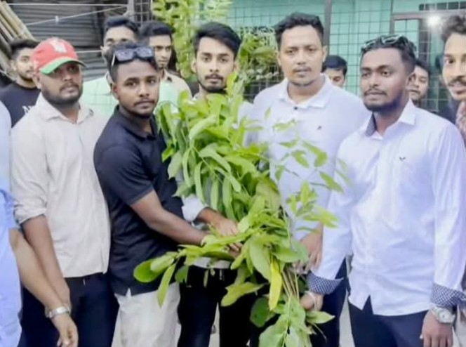 বরিশাল মহানগর ছাত্রদলের সদস্য সচিব তুষারের পক্ষ থেকে ৩০টি ওয়ার্ডে চারা গাছ বিতরণ